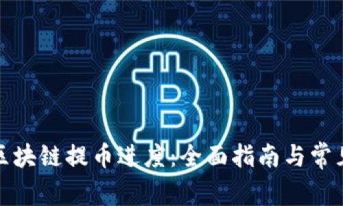 如何查询区块链提币进度：全面指南与常见问题解答