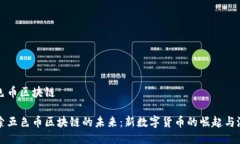 五色币区块链探索五色币区块链的未来：新数字