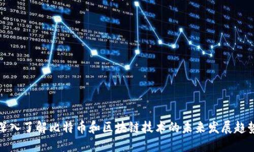 深入了解比特币和区块链技术的未来发展趋势